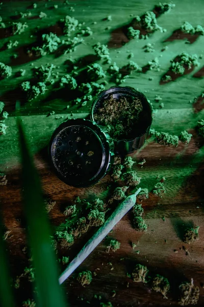 Droga Marijuana Cbd Thc Germogli Sativa Indica Neon Verde Piante — Foto Stock