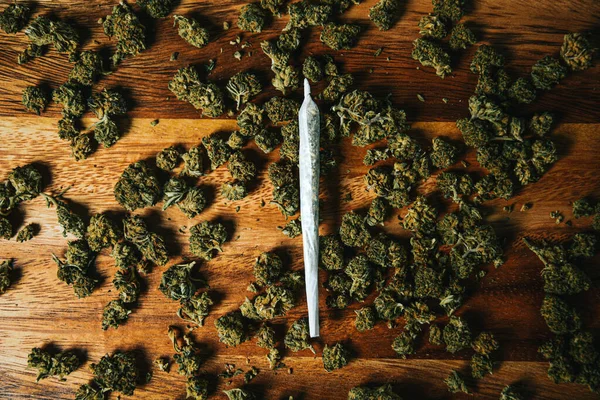 Marijuana Sbd Vagy Tgc Háttér Marihuána Rügyek Indica Kendertermesztés Cbd — Stock Fotó