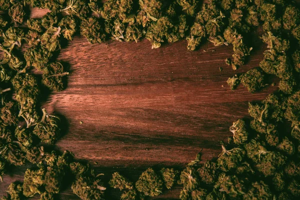 Marihuana Zapfen Auf Einem Baum Hintergrund Cbd Und Tgc Marihuana — Stockfoto