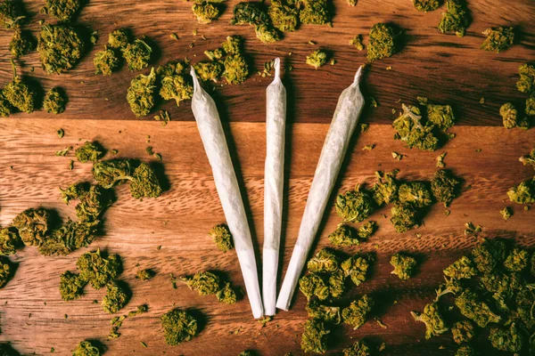 Ağaçtaki Konilerde Marihuana Cbc Tgc Marihuana Ürünleri Eklemlere Bağlanmış Eklem — Stok fotoğraf