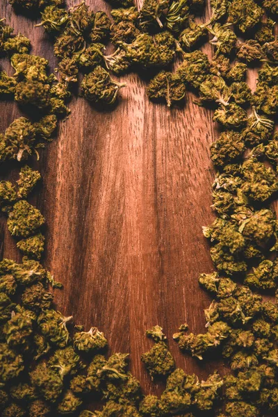 Marijuana Cones Uma Árvore Antecedentes Cbd Tgc Marijuana Produto Espaço — Fotografia de Stock