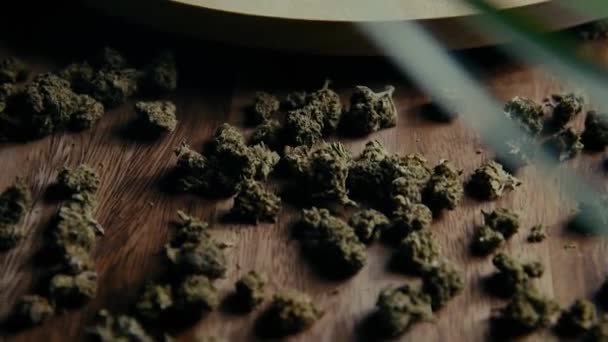 Μπισκότο Μαριχουάνας Cupcake Ναρκωτικών Cbd Μπισκότο Μπουμπούκια Μαριχουάνας Indica Και — Αρχείο Βίντεο