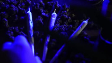Uyuşturucu, CBC ve THC ile marihuana tomurcukları. Öğütücü, esrar, euro parası, dolar. Kirli iş, krupiye evi. Mavi neon ve haplar, ekstazi, ekstazi, amfetamin. El eklem gösterir