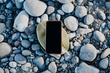 A phone on a leaf of a summer tree, a place for your website and advertising. Summer mokup on the beach on the stones