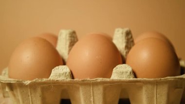 Kahverengi yumurtalı tepsi, çıplak arka planda, tavuk tüyleri uçuşuyor. Çevre ürünleri, beslenme, proteinler ve doğal besinler.