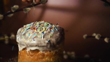Easter cake is decorated with colored sprinkles. Pussy willow on a brown background, Easter and recipes, home cooking and celebration, recipe, baking