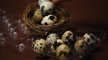 Bir kadının eli bıldırcın yumurtalarını küçük bir yuvadan plastik bir pakete aktarır. Ev yapımı yumurta, aksesuar ve yemek. Kahverengi renkli bıldırcın yumurtası, çiftlik ve kaliteli ürünler..