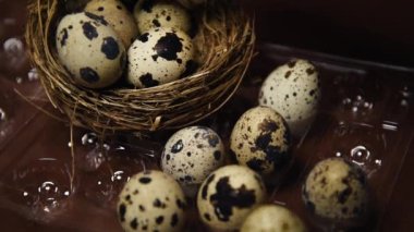 Bir kadının eli bıldırcın yumurtalarını küçük bir yuvadan plastik bir pakete aktarır. Ev yapımı yumurta, aksesuar ve yemek. Kahverengi renkli bıldırcın yumurtası, çiftlik ve kaliteli ürünler..