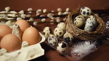 Quail and ordinary eggs in plastic and paper packages, on a brown background, Pussy willow, Easter, chicken feathers. Quail nest with eggs, eco farm, healthy products