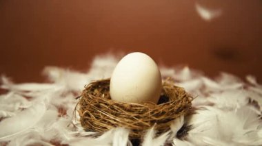 Taze ekolojik ürünler, kahverengi arka planda yumurta, tavuk tüyleri uçuşuyor. Tavuk yumurtası, sağlıklı yemek, doğa.