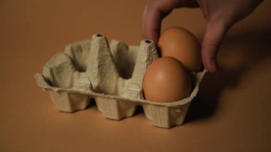 Çıplak kahverengi arka planda tepside yumurtalar. Bir kadının eli bir yumurtayı tepsiye koyar. Tarifler, ekolojik ürünler ve yiyecekler, tepside 6 yumurta, kaliteli ürün.