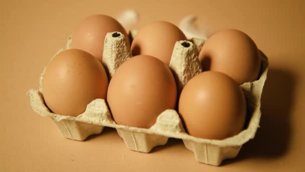 Una Bandeja Con Huevos Marrones Sobre Fondo Desnudo Plumas Pollo — Vídeos de Stock