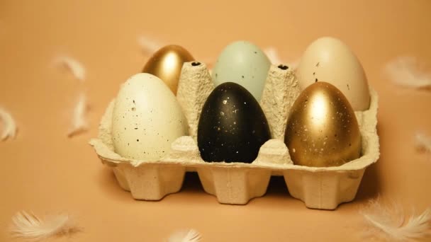 イースター ヌードの背景に描かれた卵を持つトレイが来ています 祝典や伝統 黒卵と青 金と白 鶏の羽が飛んでいます プラスチック製の卵 テキスト用の場所 — ストック動画