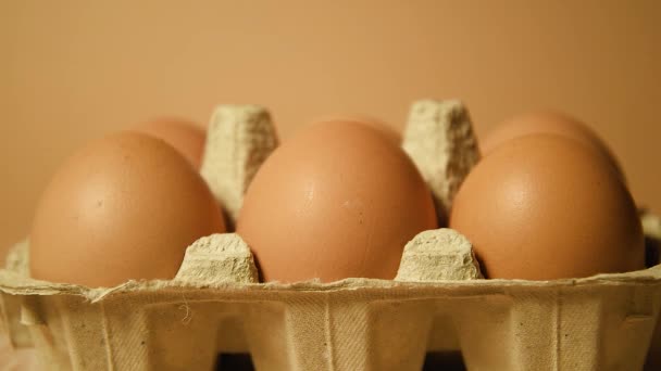 Una Bandeja Con Huevos Marrones Sobre Fondo Desnudo Plumas Pollo — Vídeo de stock