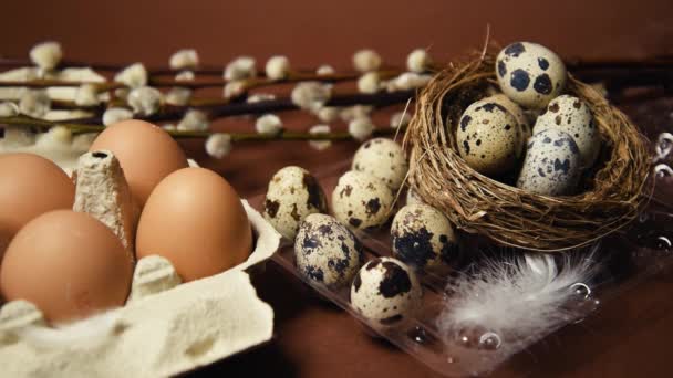 Quail Ordinary Eggs Plastic Paper Packages Brown Background Pussy Willow — Video