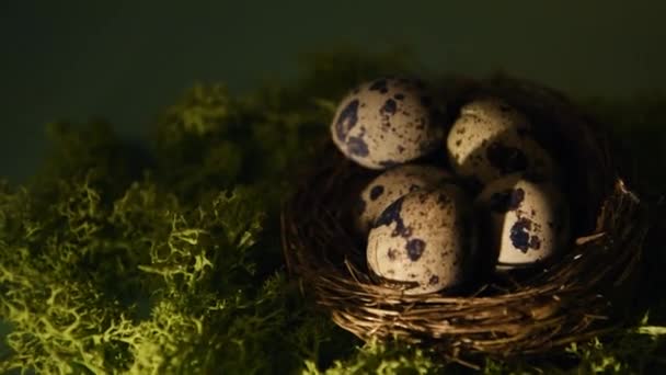 巣の中のウズラの卵 ウズラの羽 緑の背景にモス エコ食品 料理のディレクトリ 元の装飾に食品の興味深いプレゼンテーション 自然と光 — ストック動画