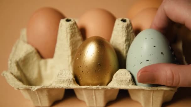复活节马上就要到了 一个有彩蛋的盘子 背景是裸体的 庆祝活动和传统 配黑蛋 鸡毛飞舞 塑料蛋 文字位置 — 图库视频影像