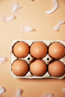Kahverengi yumurtalı tepsi, çıplak arka planda, tavuk tüyleri uçuşuyor. Çevre ürünleri, beslenme, proteinler ve doğal besinler.