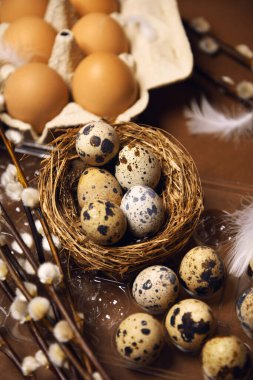 Quail and ordinary eggs in plastic and paper packages, on a brown background, Pussy willow, Easter, chicken feathers. Quail nest with eggs, eco farm, healthy products