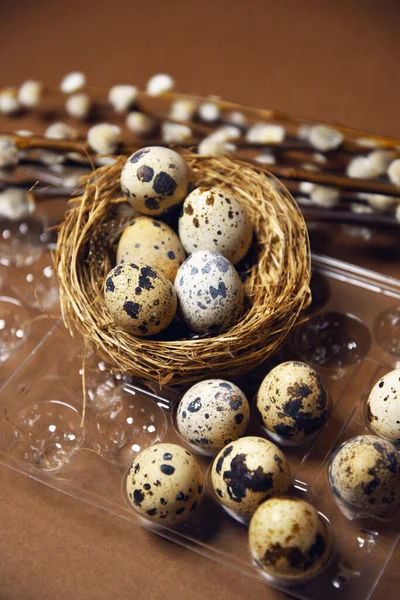 Quail and ordinary eggs in plastic and paper packages, on a brown background, Pussy willow, Easter, chicken feathers. Quail nest with eggs, eco farm, healthy products