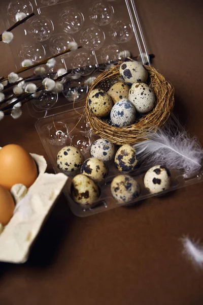 Quail and ordinary eggs in plastic and paper packages, on a brown background, Pussy willow, Easter, chicken feathers. Quail nest with eggs, eco farm, healthy products