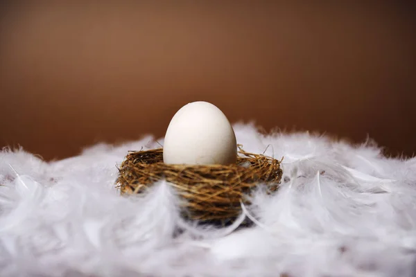 A woman\'s hand puts a large white egg in the nest. Fresh eco products, egg in nest on brown background, chicken feathers flying. Chicken egg, food, nature.