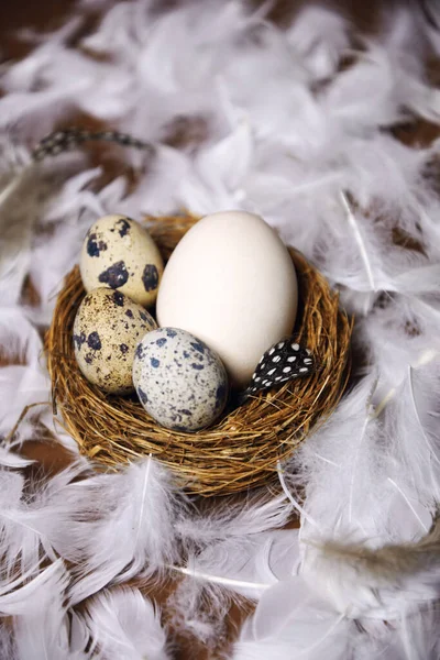 Fresh eco products, egg in nest on brown background, chicken feathers flying. Chicken egg, healthy food, nature. Quail eggs in the nest, quail feathers.