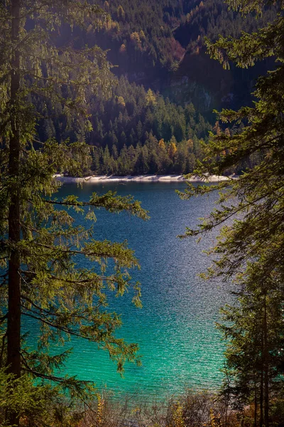 意大利Trentino Alto Adige Tovel湖清澈的湖水中松树间的景色 — 图库照片