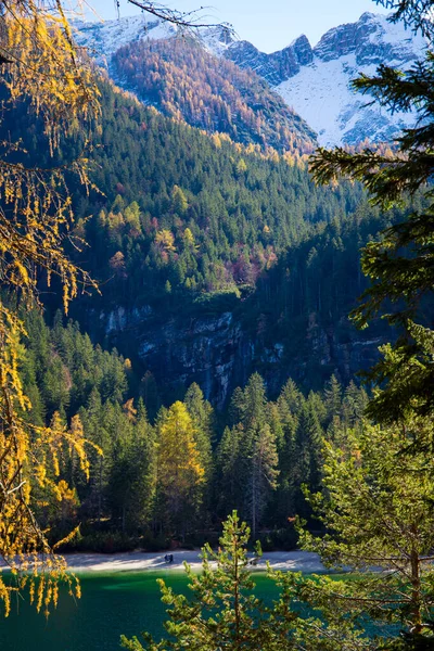 Podzimní Pohled Jezero Tovel Trentino Alto Adige Itálie Svislý Záběr — Stock fotografie