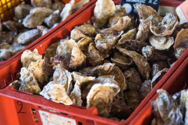 Markette satılık istiridyeler, kırmızı bir kutuda. Bu deniz ürünleri Brittany, Fransa 'da ünlü bir yerel üründür..