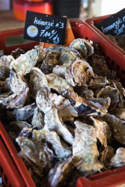 Kerarzic istiridyeleri markette satılıyor, kırmızı bir kutuda. Bu deniz ürünleri Brittany, Fransa 'da ünlü bir yerel üründür. Dikey çekim.