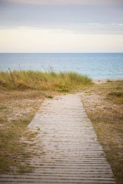 Ile-Tudy, Finistere, Brittany, Fransa 'daki Grand Plage plajına giden tahta yol. Dikey çekim.