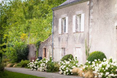 Detail of the garden of Cahteau de la Mevelliere in Bouaye, Atlantic Loire, France. clipart