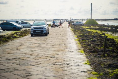 Gois geçidi, sadece sular çekildiğinde ortaya çıkan ve insanların kabuklu deniz hayvanlarını kazdığı bir yol. Noirmoutier Adası, Fransa.