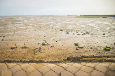 Gois geçidi, sadece sular çekildiğinde ortaya çıkan ve insanların kabuklu deniz hayvanlarını kazdığı bir yol. Noirmoutier Adası, Fransa.