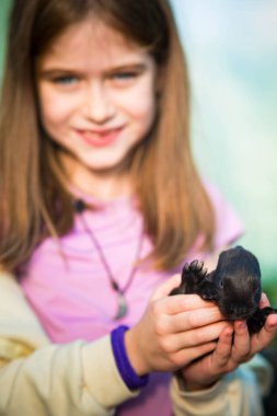Kafkas çocuk, dağılmış, elinde siyah bir yavru tavşanı tutarken gülümsüyor..