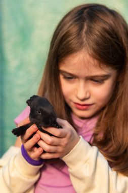 Kafkasyalı çocuk elinde siyah bir tavşan yavrusu tutuyor. Dikey çekim.
