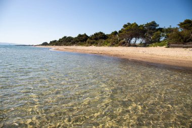 Piombino, Toskana 'daki güzel Torre Mozza plajının panoramik manzarası, kristal berrak suyla.