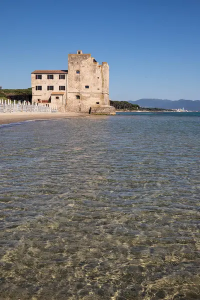 Piombino 'daki güzel Torre Mozza plajının manzarası, 1500 kulesi ve kristal berrak suyuyla. Dikey çekim.