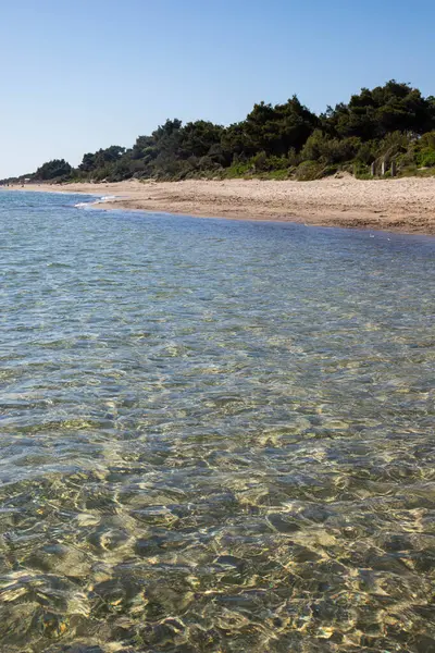 Piombino, Toskana 'daki güzel Torre Mozza plajının kristal berrak suyuyla panoramik manzarası. Dikey çekim.