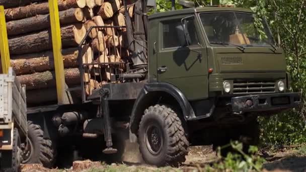 Stora Lastbilstransporter Hugger Träd Och Sparkar Upp Damm Från Vägen — Stockvideo