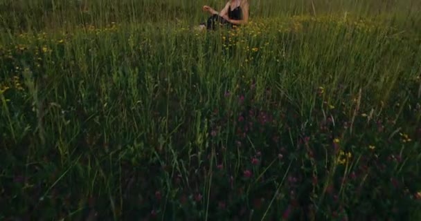 浪漫的女人 美丽的金发女模特 穿着黑色长裙 坐在草地上 沐浴在夕阳西下的阳光中 — 图库视频影像