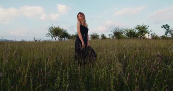 ロマンチックな女性 黒の長いドレスの美しい女性のブロンドモデルは 夕日の光線で草原に立っています — ストック動画
