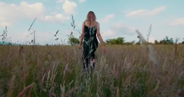 相机追逐着浪漫的女人 穿着黑色长裙的金发模特在夕阳西下的草地上漫步 — 图库视频影像