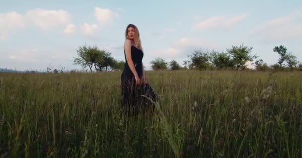 浪漫的女人 穿着黑色长裙的金发美女模特站在苹果园的草地上 乡村概念 — 图库视频影像
