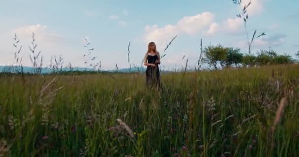 Romantische Frau Schönes Blondes Model Schwarzem Langen Kleid Steht Auf — Stockvideo