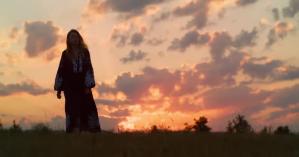 浪漫的金发姑娘 身穿长裙的女人在红色日落或红色日出时走在草地上 乡村概念 — 图库视频影像