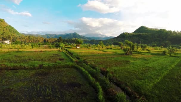 Drone Tiro Aéreo Bali Ilha Brilhante Pôr Sol Radiante Nascer — Vídeo de Stock