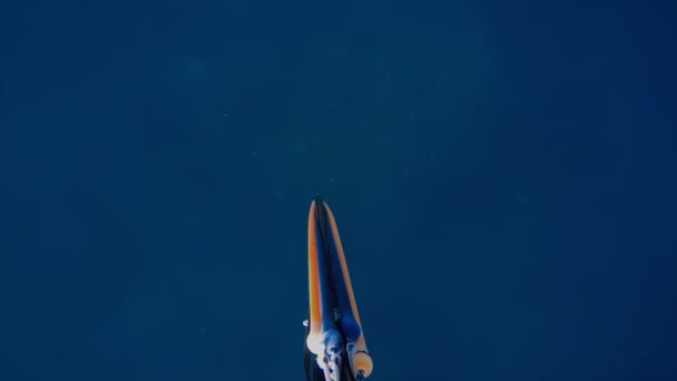 水下猎手或手持长矛的猎手深入深海深处 潜水猎手 — 图库视频影像