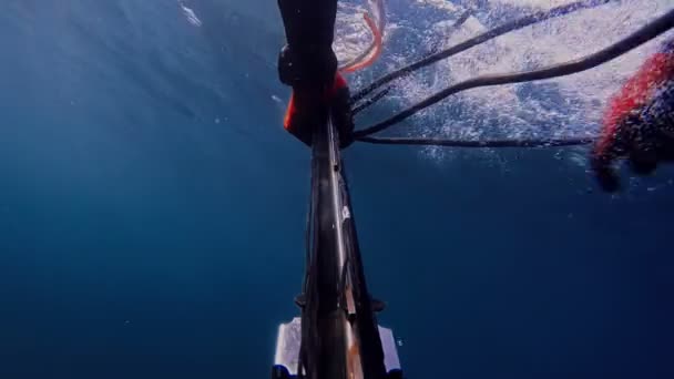Visjager Onderwaterjager Speervisser Bereidt Zijn Harpoen Voor Harpoenvisserij Voor — Stockvideo
